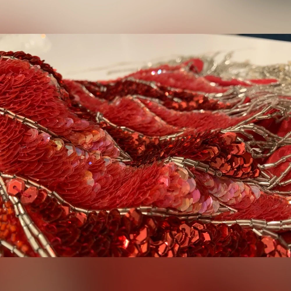 Vintage Red Silk Beaded Gown Intricate Platinum Fringe Short Sleeve Size 14. - Picture 9 of 16